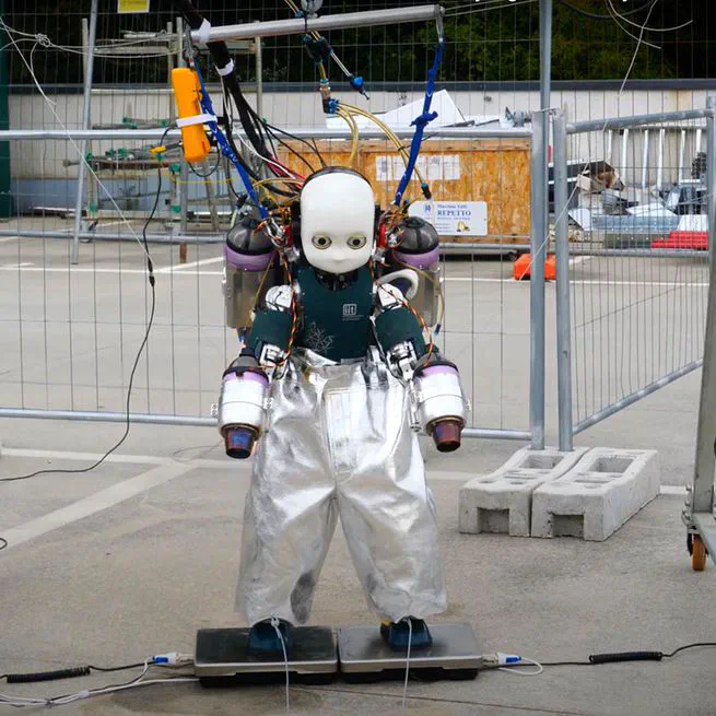 Momentum-Based Extended Kalman Filter for Thrust Estimation on Flying Multibody Robots